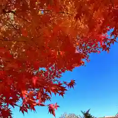 豊景神社(福島県)