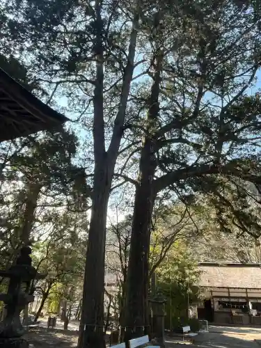 洲原神社の{uncategorized: "未分類", other: "その他", undefined: "問題あり", building: "その他建物", grave: "お墓", sacred_gate: "鳥居", guardian: "狛犬", statue: "像", buddha: "仏像", history: "歴史", nature: "自然", garden: "庭園", animal: "動物", pagoda: "塔", temizu: "手水舎", mountain_gate: "山門・神門", sanctuary: "本殿・本堂", subordinate: "末社・摂社", art: "芸術", scenery: "景色", jizo: "地蔵", ema: "絵馬", goshuin: "御朱印", omikuji: "おみくじ", items: "授与品その他", amulet: "お守り", goshuincho: "御朱印帳", eats: "食事", festival: "お祭り", votive_dance: "神楽", shichigosan: "七五三参", wedding: "結婚式", experience: "体験その他", initially: "初詣", around: "周辺", anti_infection: "感染症対策"}