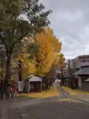 池尻稲荷神社の周辺