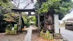 畑子安神社(千葉県)