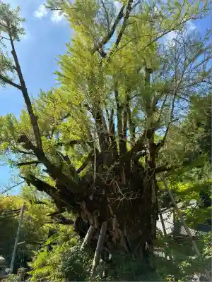 葛城一言主神社(奈良県)
