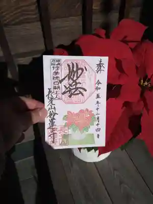 ポインセチアと御朱印