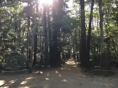 鹿島神宮の自然