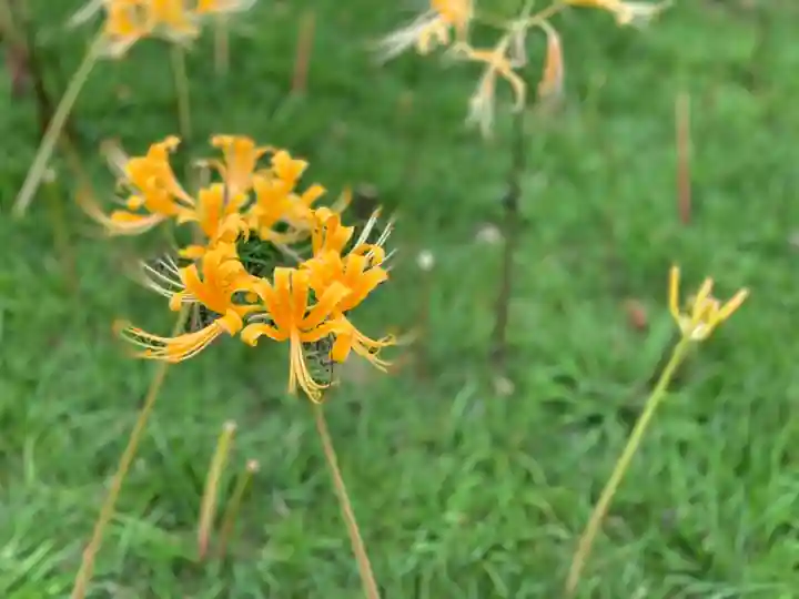 横浜 西方寺の自然