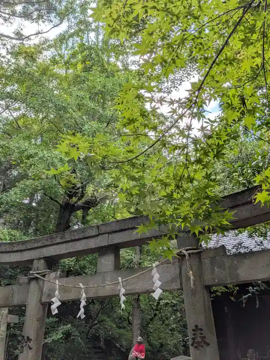 赤坂氷川神社(東京都)