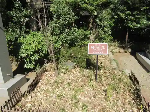 埼玉縣護國神社(埼玉県)