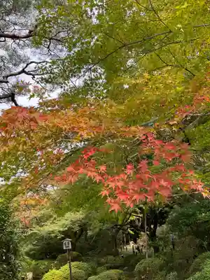 青蓮院門跡(京都府)