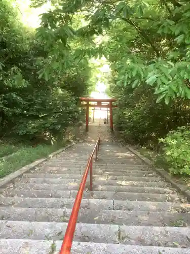 曽野稲荷神社の鳥居