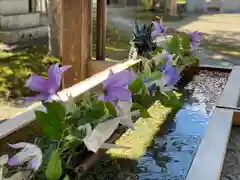 広禅寺の手水