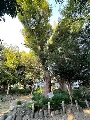 御薗神社(三重県)