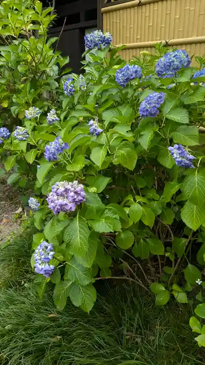 行願寺(革堂)(京都府)