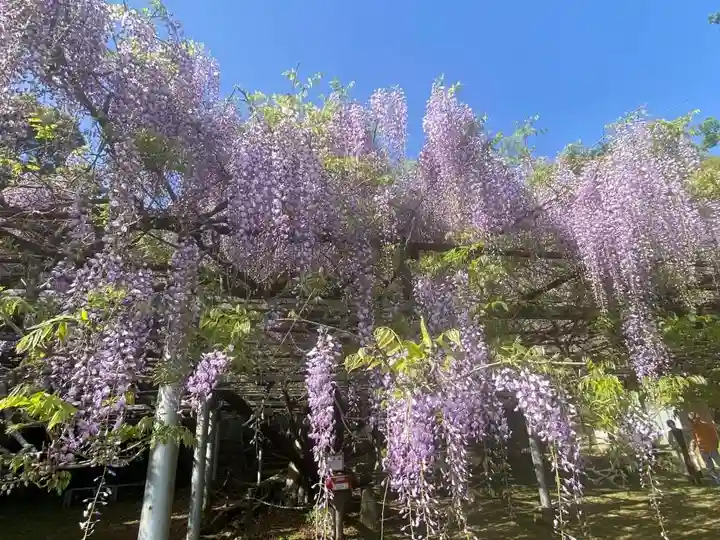 観音堂(山口県)