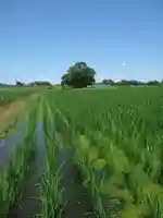 神明神社(千葉県)