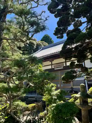 安楽寺の{uncategorized: "未分類", other: "その他", undefined: "問題あり", building: "その他建物", grave: "お墓", sacred_gate: "鳥居", guardian: "狛犬", statue: "像", buddha: "仏像", history: "歴史", nature: "自然", garden: "庭園", animal: "動物", pagoda: "塔", temizu: "手水舎", mountain_gate: "山門・神門", sanctuary: "本殿・本堂", subordinate: "末社・摂社", art: "芸術", scenery: "景色", jizo: "地蔵", ema: "絵馬", goshuin: "御朱印", omikuji: "おみくじ", items: "授与品その他", amulet: "お守り", goshuincho: "御朱印帳", eats: "食事", festival: "お祭り", votive_dance: "神楽", shichigosan: "七五三参", wedding: "結婚式", experience: "体験その他", initially: "初詣", around: "周辺", anti_infection: "感染症対策"}