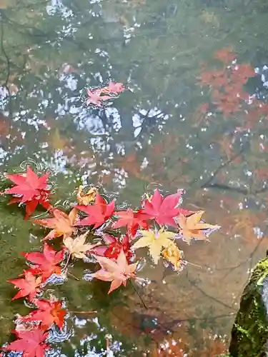 榮攝院（栄摂院）(京都府)