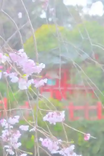 三嶋大社(静岡県)