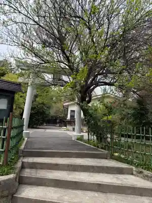 菅原神社（子安天満宮）(東京都)