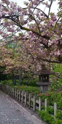 六孫王神社の自然