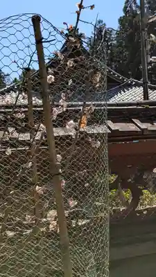 長尾天満宮(京都府)