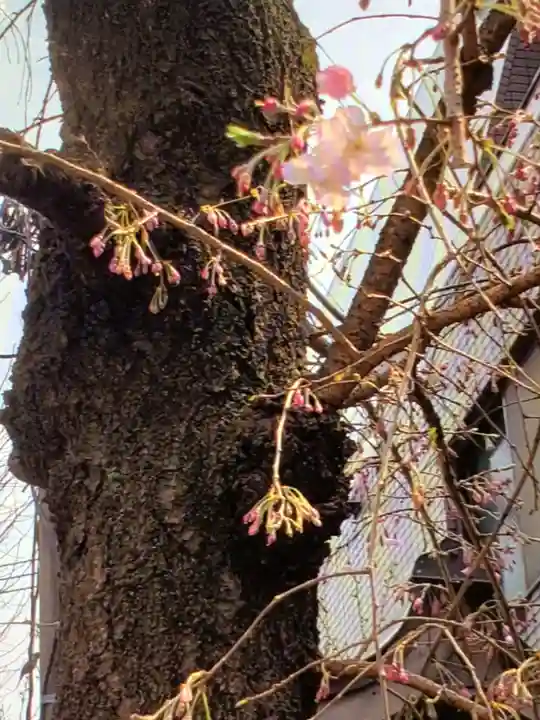 池尻稲荷神社(東京都)