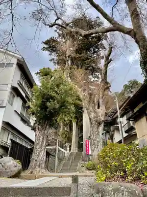 日枝神社(静岡県)
