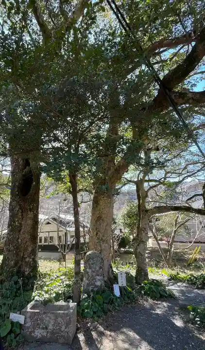 山神社(静岡県)