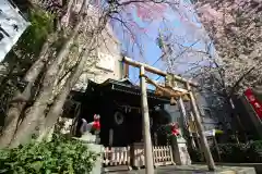 茶ノ木神社の鳥居