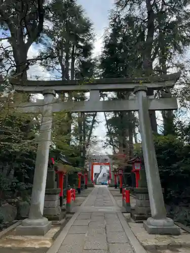 馬橋稲荷神社の鳥居