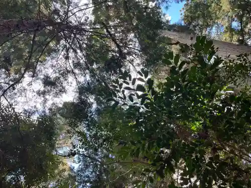 日吉神社(千葉県)