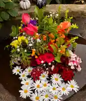 真言宗 善通寺派 薬王寺(香川県)