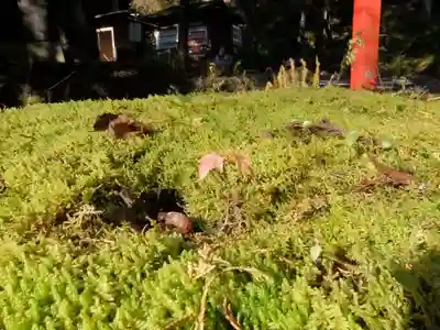 貴船神社奥宮(京都府)