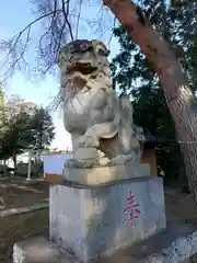 駒林八幡神社(埼玉県)