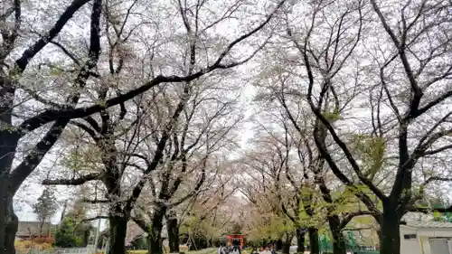 東蕗田天満社(茨城県)