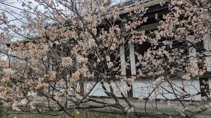 平野神社(京都府)