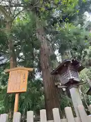 大神神社(奈良県)