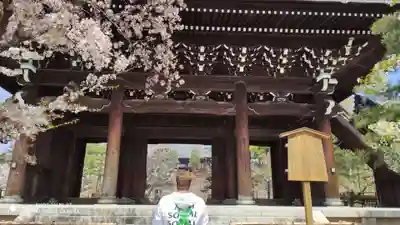 くろ谷 金戒光明寺の山門・神門