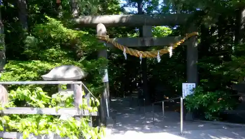 白石神社の鳥居