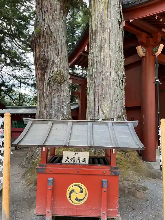 日光二荒山神社(栃木県)