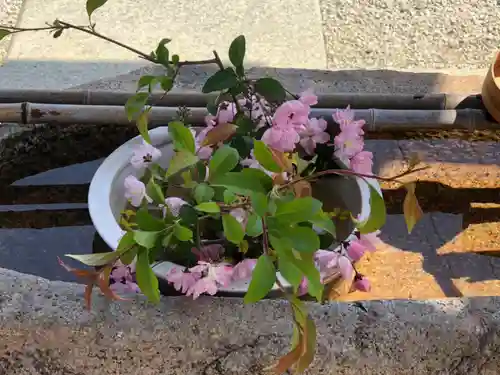 水堂須佐男神社の手水舎