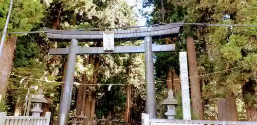 北口本宮冨士浅間神社の鳥居