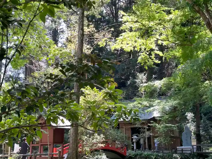 小國神社の{uncategorized: "未分類", other: "その他", undefined: "問題あり", building: "その他建物", grave: "お墓", sacred_gate: "鳥居", guardian: "狛犬", statue: "像", buddha: "仏像", history: "歴史", nature: "自然", garden: "庭園", animal: "動物", pagoda: "塔", temizu: "手水舎", mountain_gate: "山門・神門", sanctuary: "本殿・本堂", subordinate: "末社・摂社", art: "芸術", scenery: "景色", jizo: "地蔵", ema: "絵馬", goshuin: "御朱印", omikuji: "おみくじ", items: "授与品その他", amulet: "お守り", goshuincho: "御朱印帳", eats: "食事", festival: "お祭り", votive_dance: "神楽", shichigosan: "七五三参", wedding: "結婚式", experience: "体験その他", initially: "初詣", around: "周辺", anti_infection: "感染症対策"}