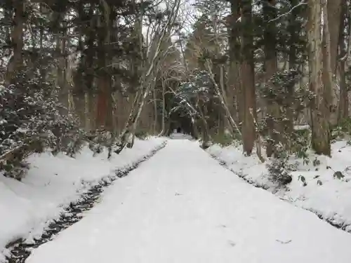 戸隠神社奥社の景色