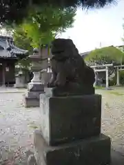 六月八幡神社の狛犬