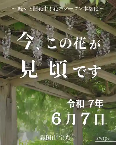 宝光寺(北海道)