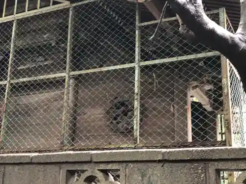 出雲乃伊波比神社のその他建物