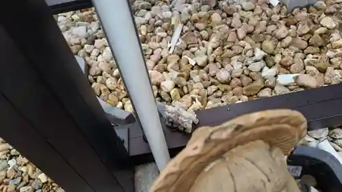 法雲寺(京都府)