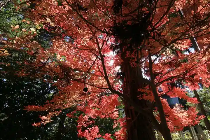 豊景神社の庭園