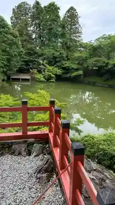 高鴨神社(奈良県)