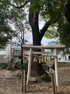 綿神社の{uncategorized: "未分類", other: "その他", undefined: "問題あり", building: "その他建物", grave: "お墓", sacred_gate: "鳥居", guardian: "狛犬", statue: "像", buddha: "仏像", history: "歴史", nature: "自然", garden: "庭園", animal: "動物", pagoda: "塔", temizu: "手水舎", mountain_gate: "山門・神門", sanctuary: "本殿・本堂", subordinate: "末社・摂社", art: "芸術", scenery: "景色", jizo: "地蔵", ema: "絵馬", goshuin: "御朱印", omikuji: "おみくじ", items: "授与品その他", amulet: "お守り", goshuincho: "御朱印帳", eats: "食事", festival: "お祭り", votive_dance: "神楽", shichigosan: "七五三参", wedding: "結婚式", experience: "体験その他", initially: "初詣", around: "周辺", anti_infection: "感染症対策"}