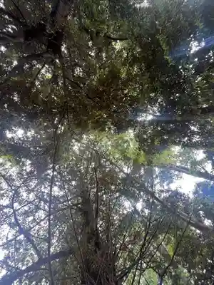 朝日森天満宮(栃木県)